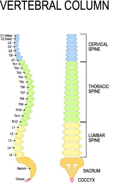 cervical spine damage symptoms